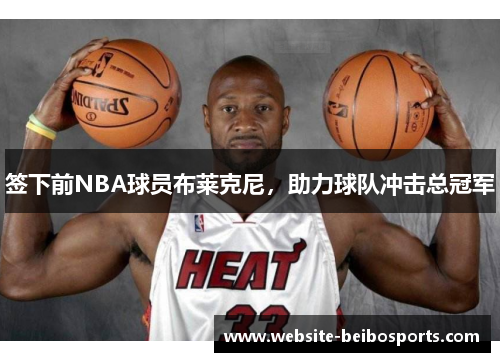 签下前NBA球员布莱克尼，助力球队冲击总冠军